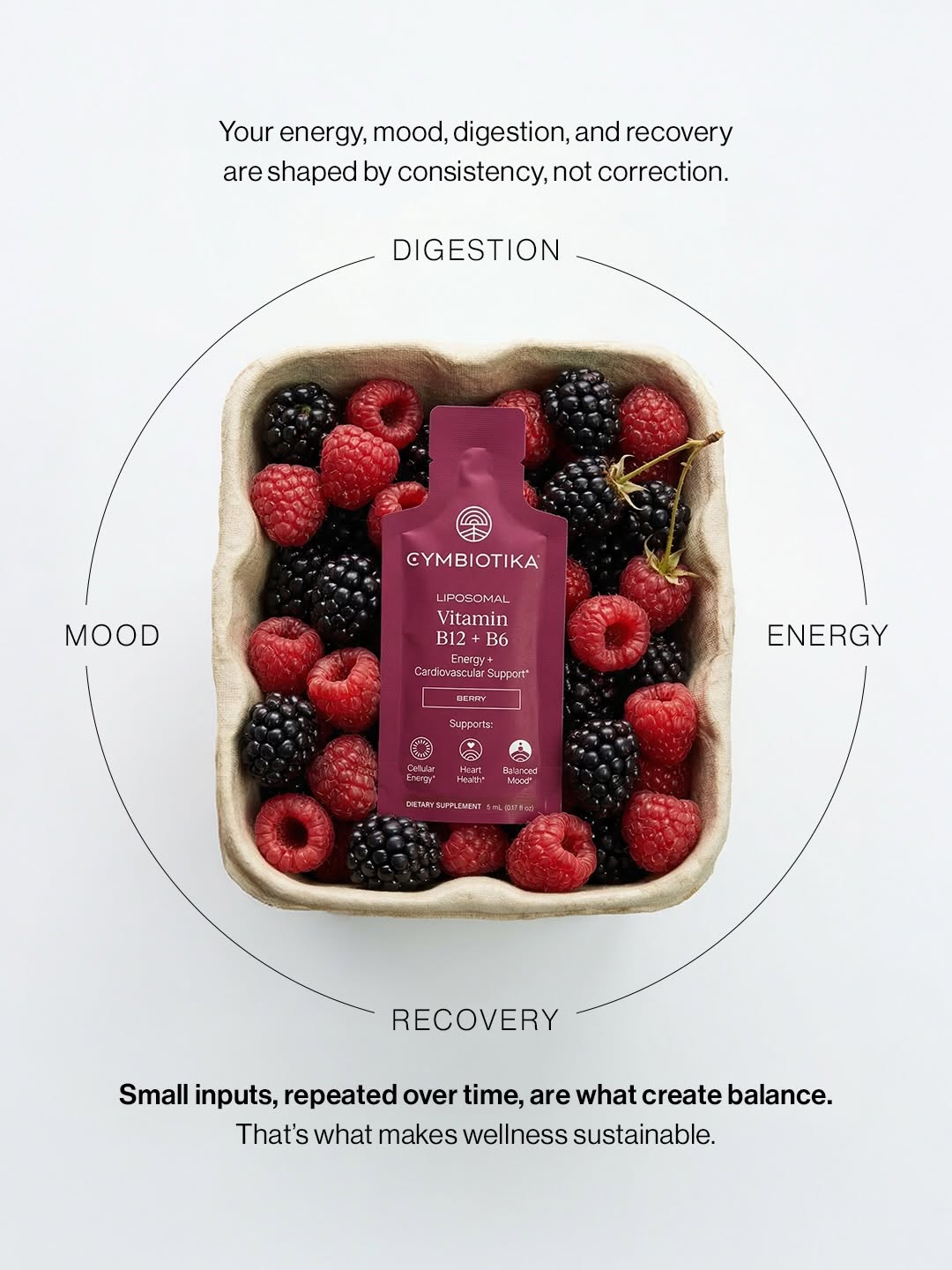 Liposomal Vitamin B12 + B6
